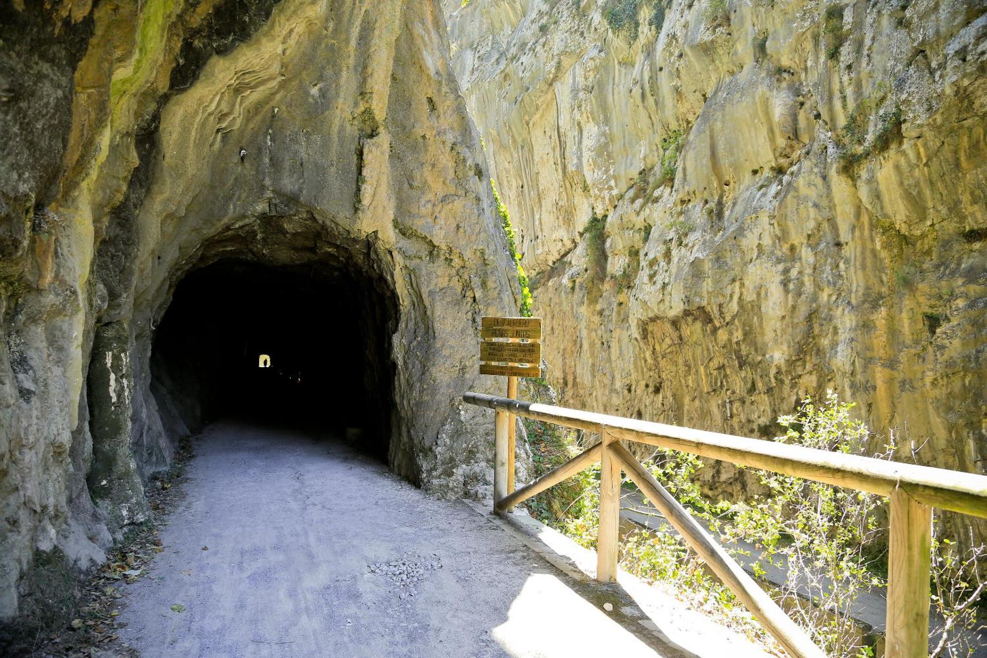 El Torreon - Las Casas Del Oso Proaza Bagian luar foto